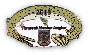 2013 Pin